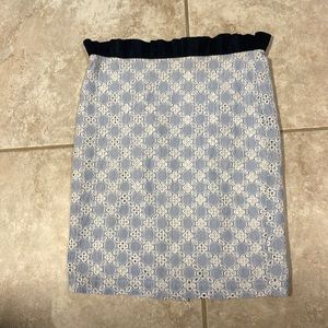 Ann Taylor Skirt